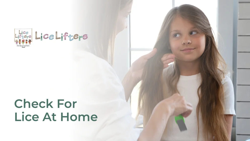 How To Check For Lice At Home: Step-By-Step