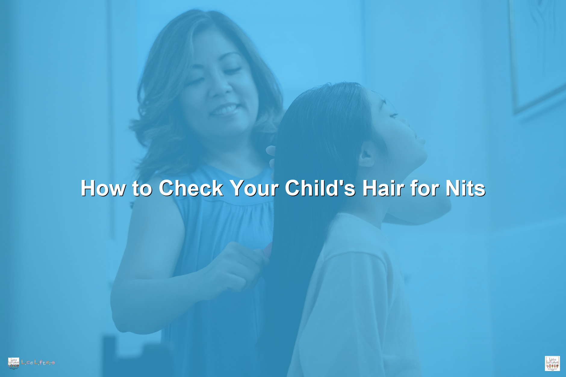 How To Check Your Child's Hair For Nits | Lice Lifters Of Travis County ...
