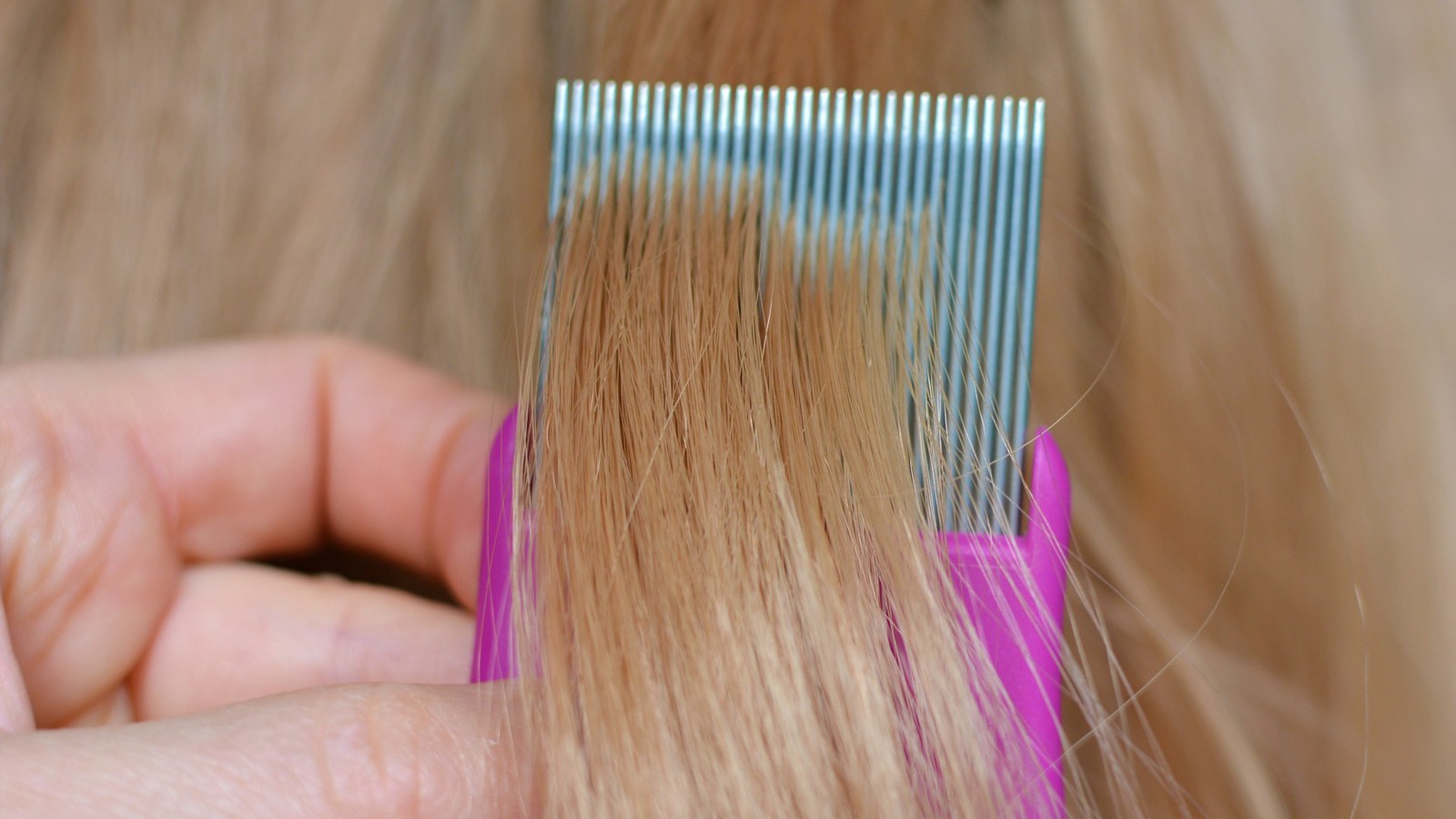 A section of light hair passes through a pink handled fine tooth comb.