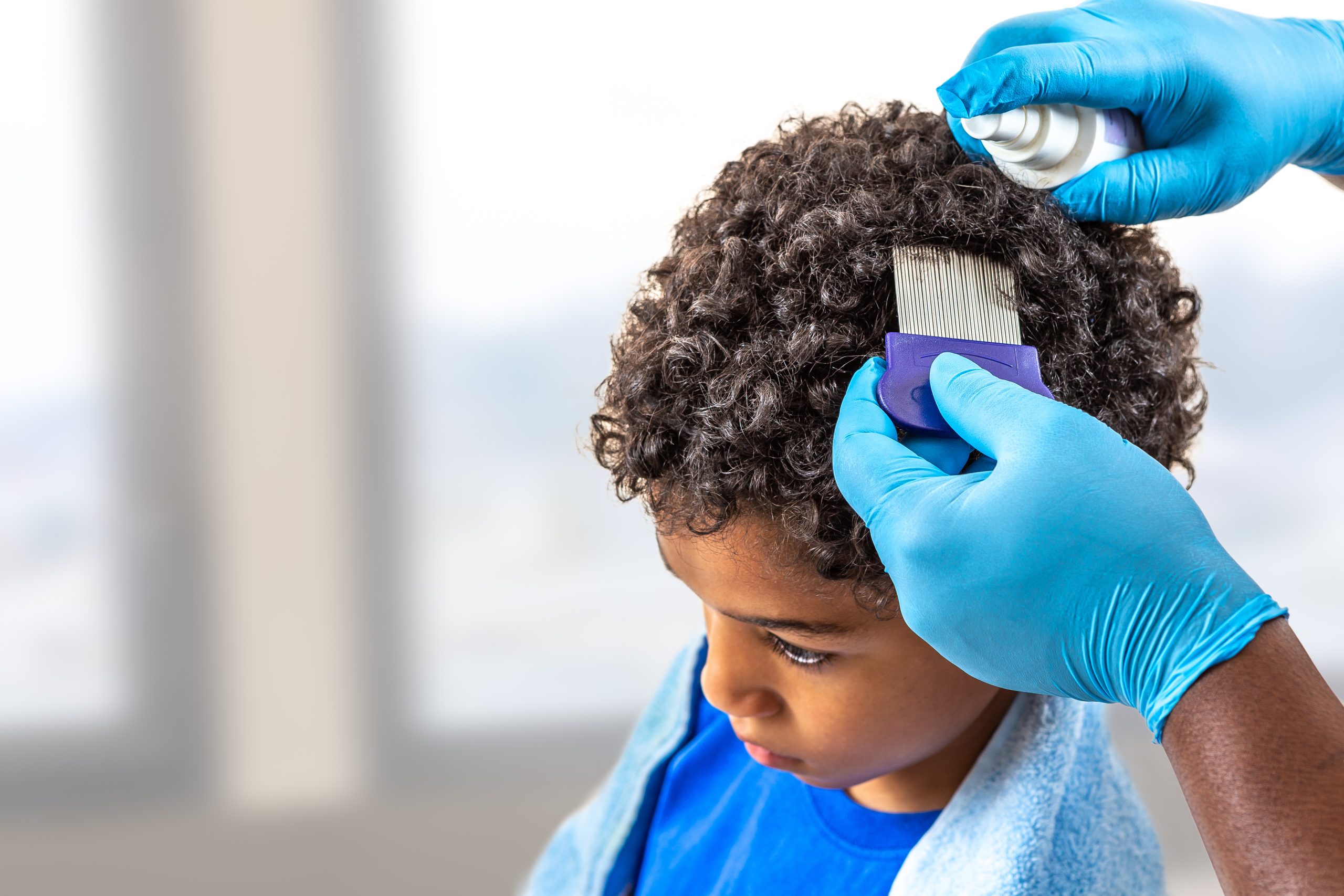 A parent sits with a school-age child under bright natural light, sectioning the child's hair with a metal fine-tooth nit comb for an at-home head lice screening after a school exposure notice.