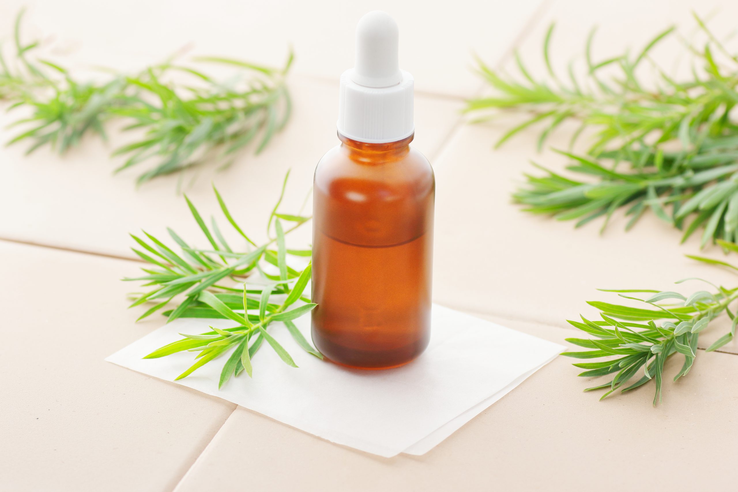 An amber-glass dropper bottle of tea tree essential oil rests on a clean ivory tile background with fresh tea tree leaves arranged around it, illustrating a natural lice remedy decision moment.