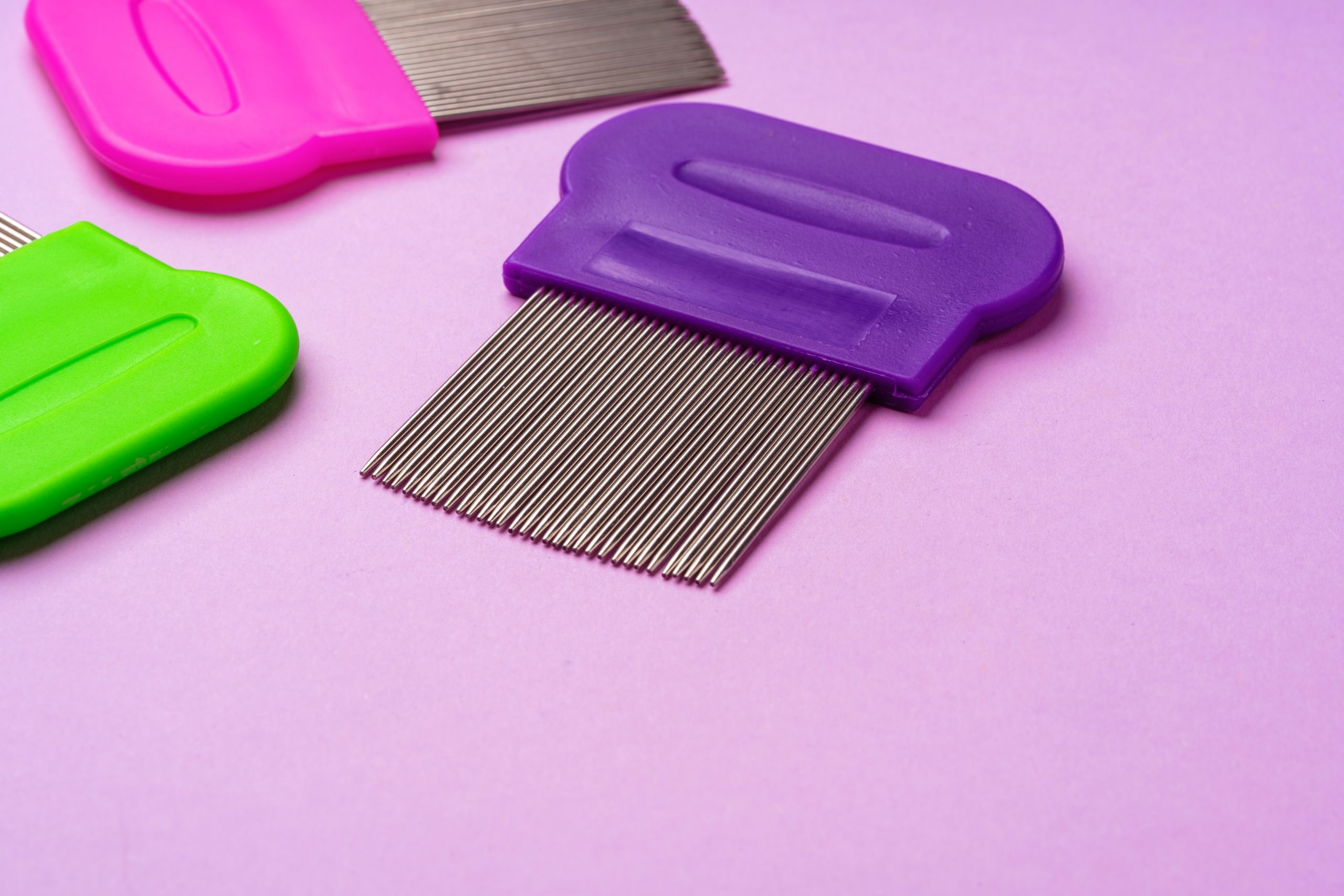 Colorful Combs for Lice Removal on Purple Background