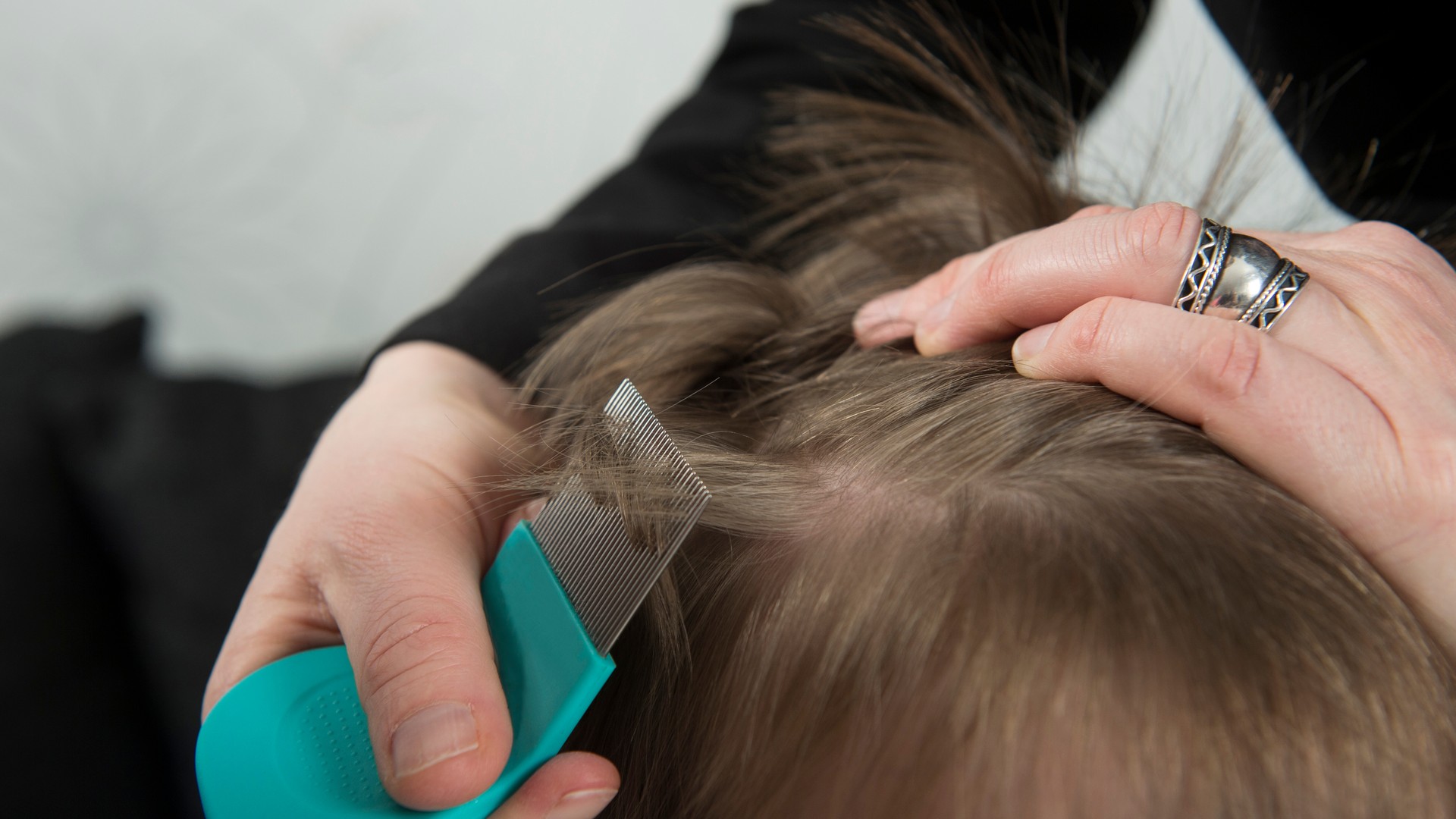 Professional nit comb being used on a childs scalp during a lice treatment session
