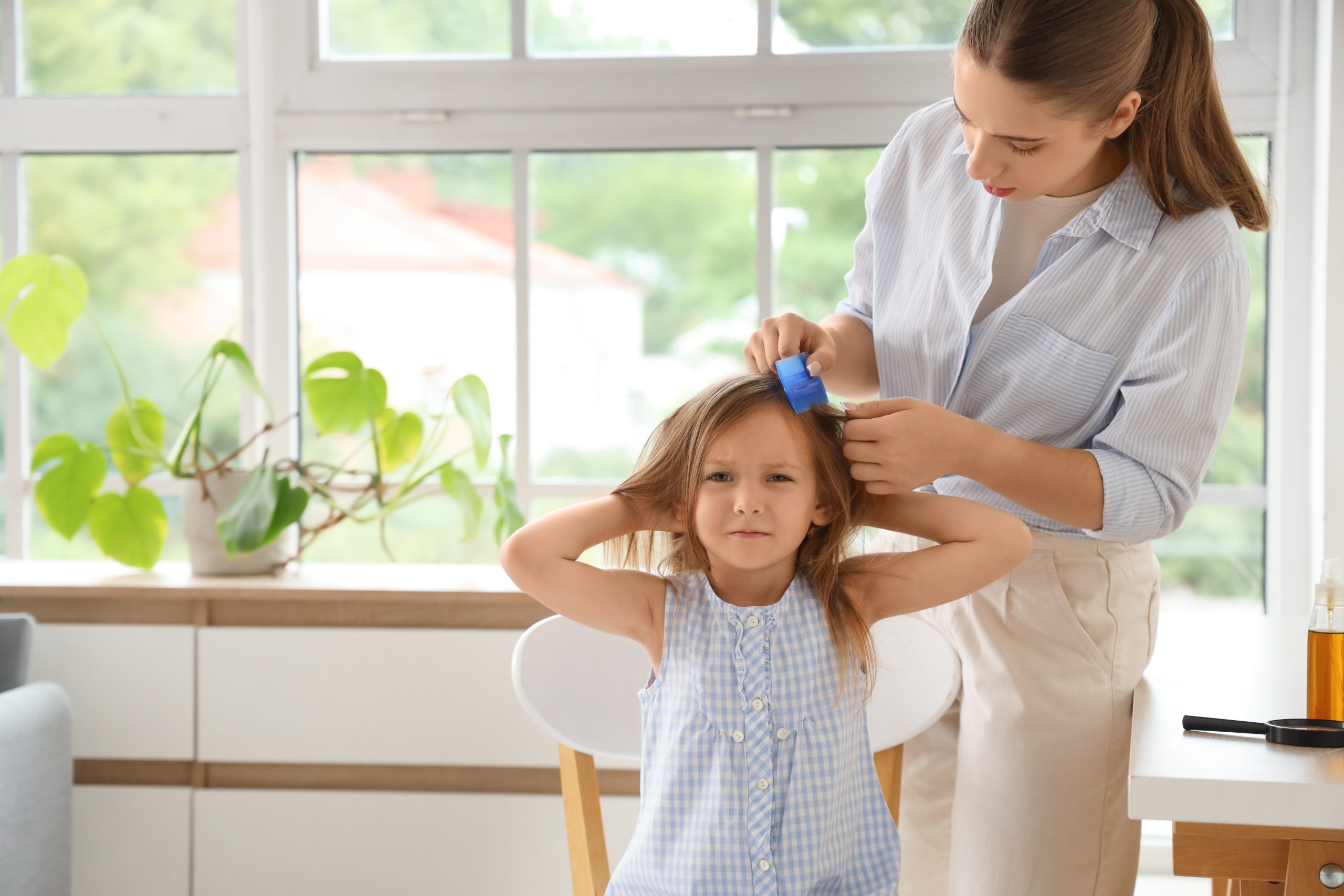 Person combing another person's hair with a blue comb beside a window.