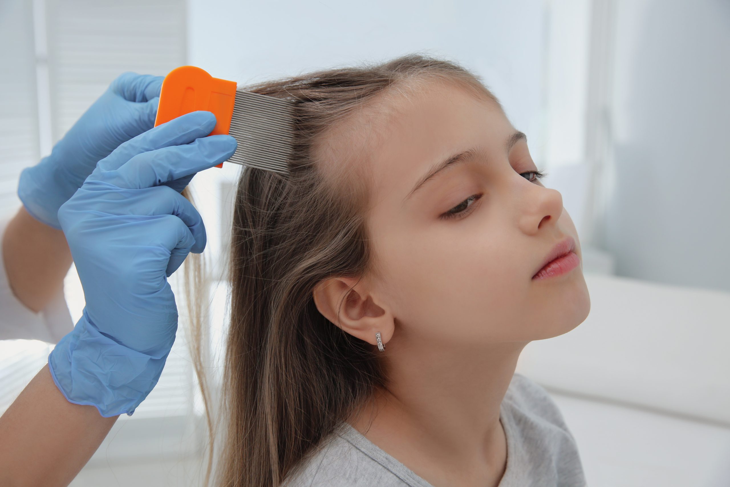 Technician using a fine nit comb section by section through a child's hair to clear a heavy lice case