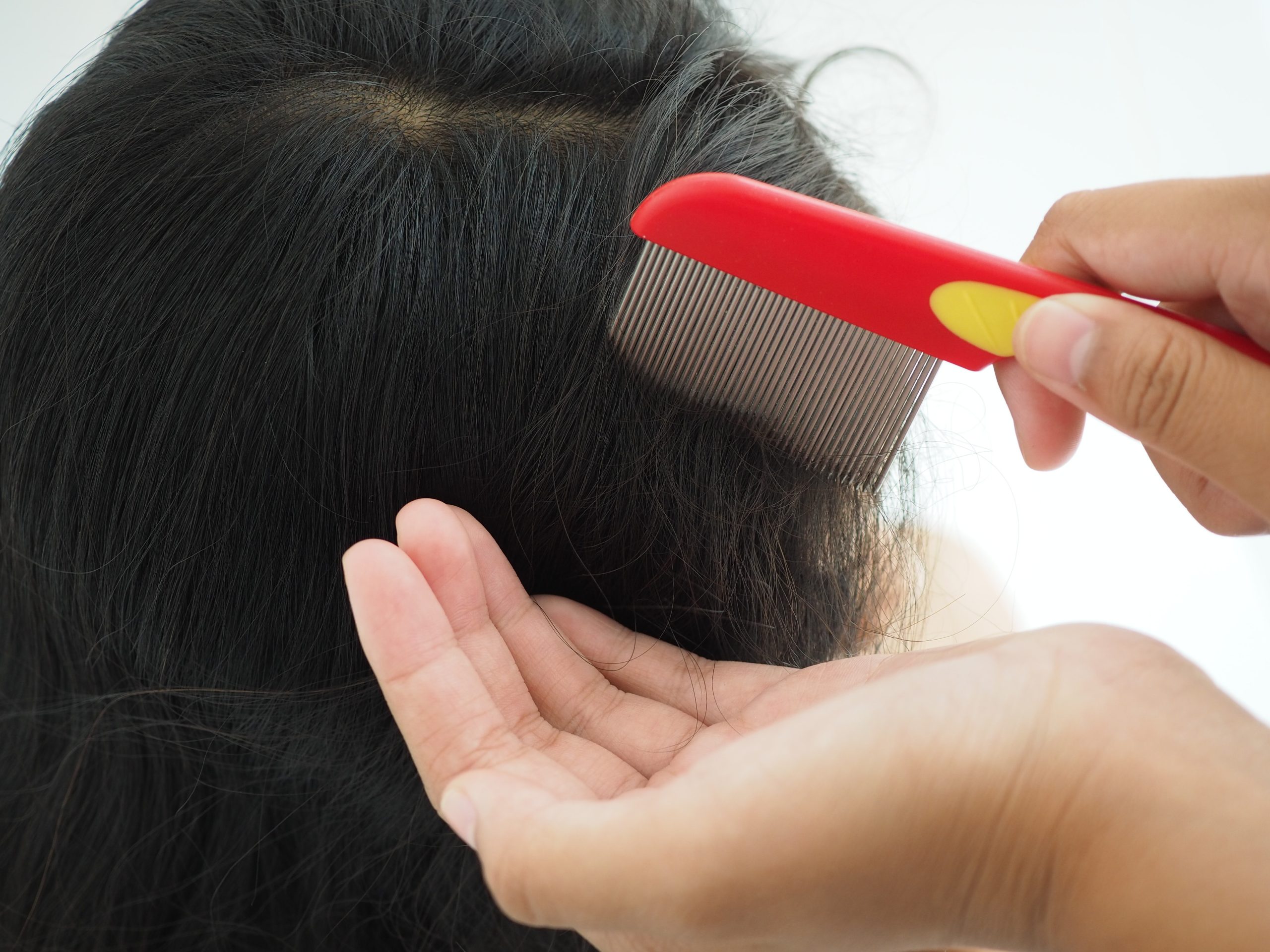 Parent parting a child's hair to check for head lice at home after school