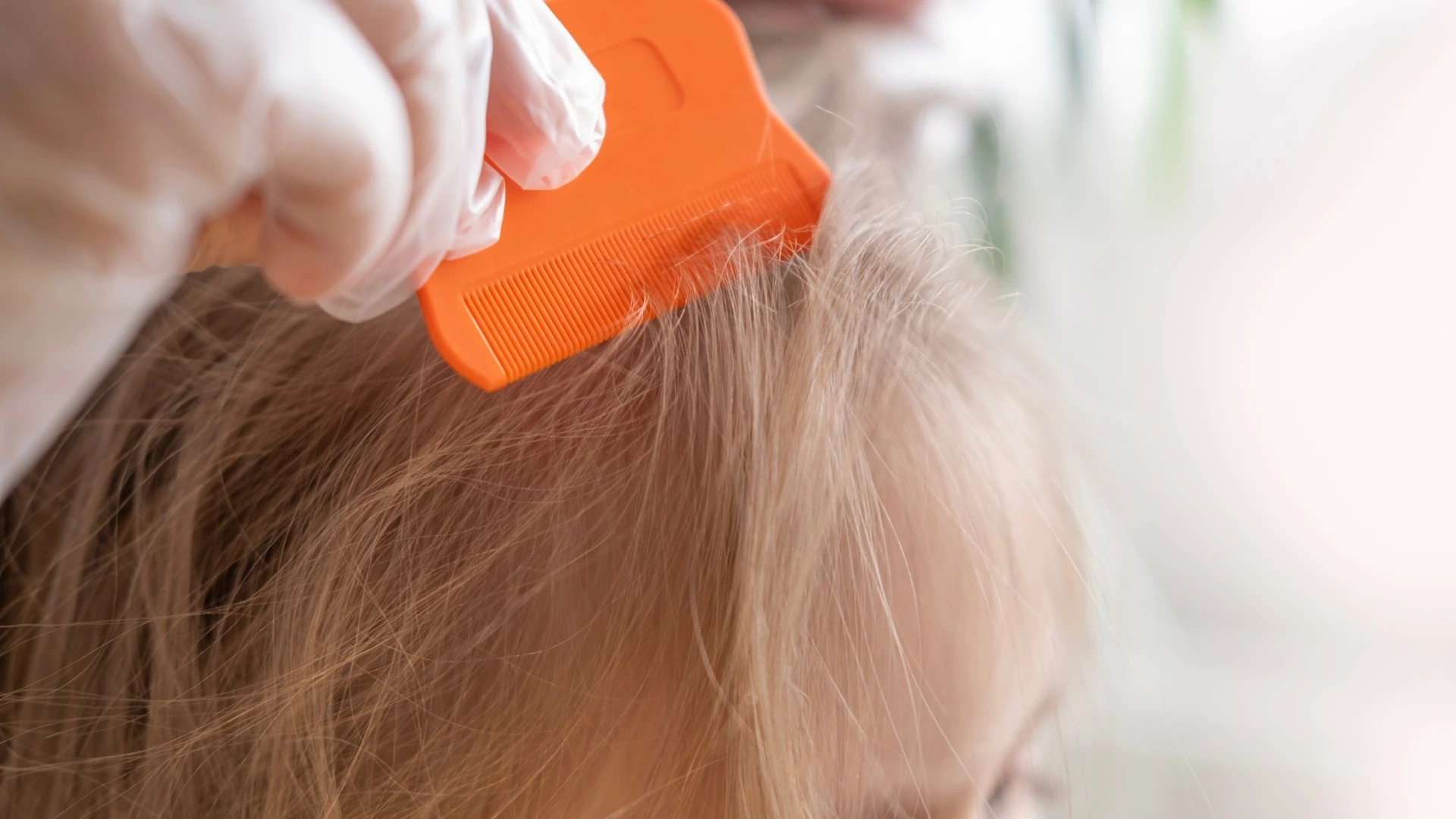 Gloved hand drawing an orange fine-toothed comb through light hair near the scalp.