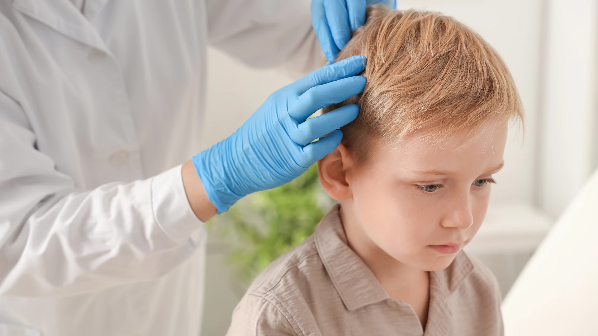 Blue-gloved hands separating short light brown hair above an ear.